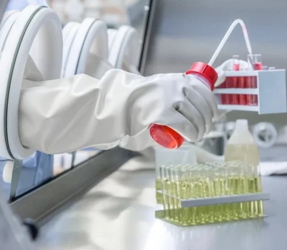 Luvas para isoladores: proteção invisível que salva vidas