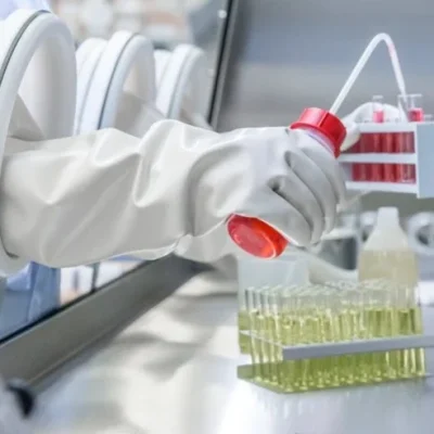 Luvas para isoladores: proteção invisível que salva vidas